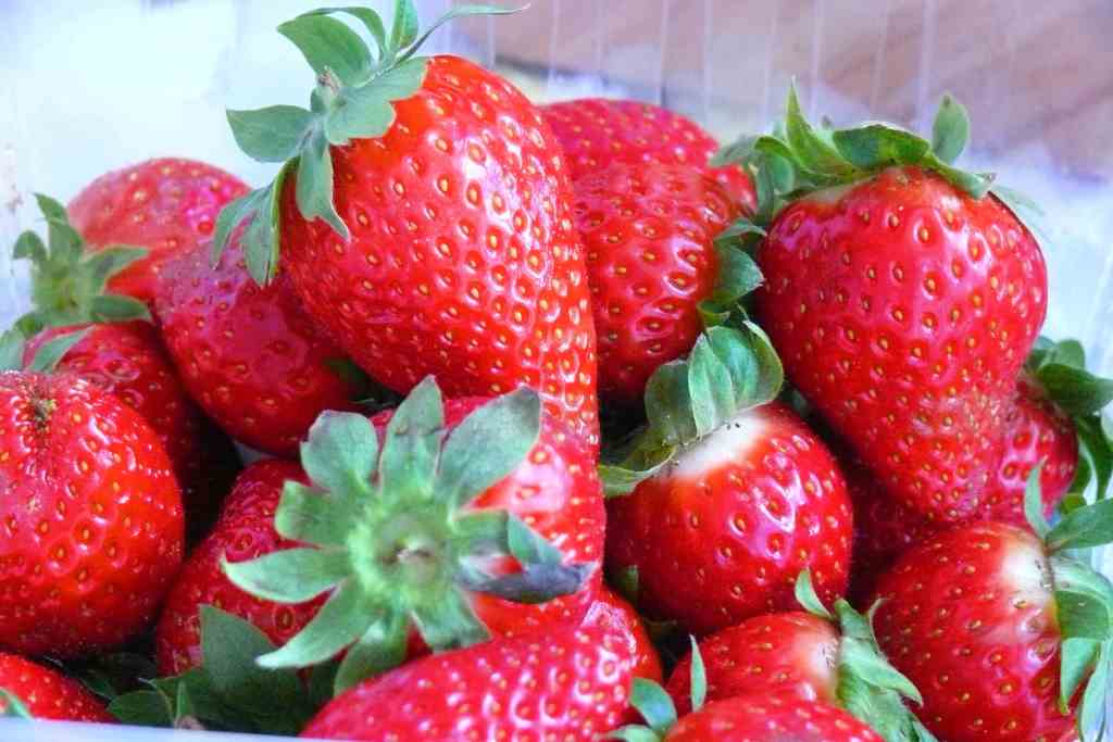 Como Preparar Fresas