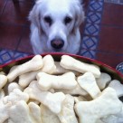 galletas para perros